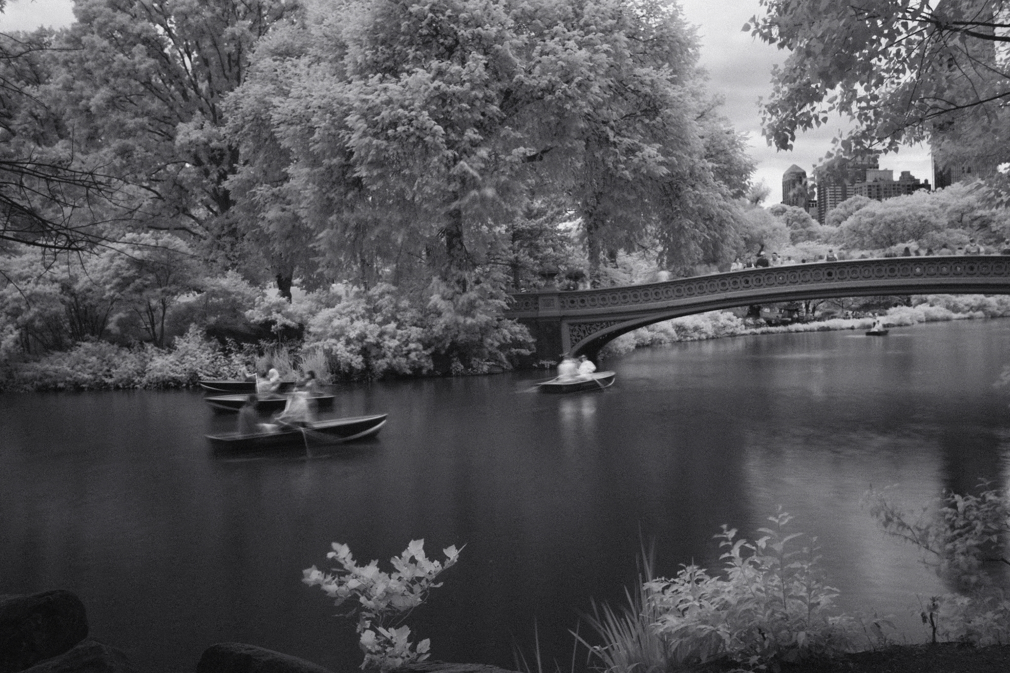 Central Park