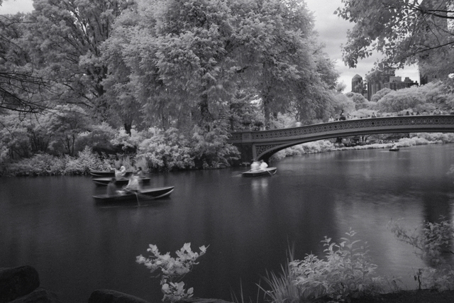 Central Park