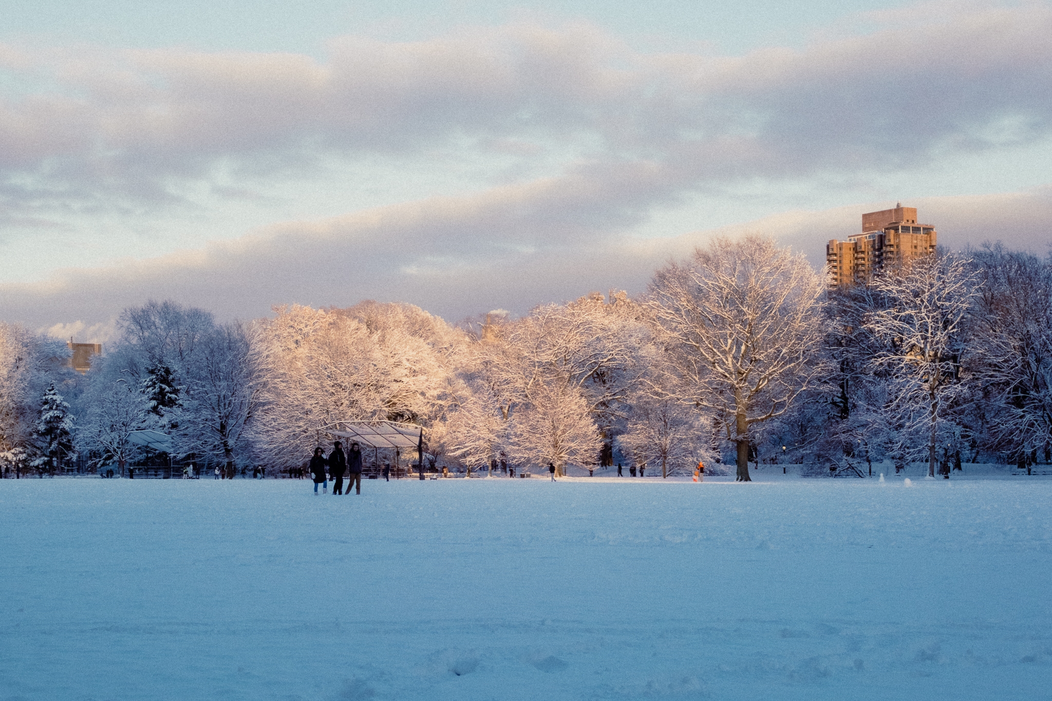 Central Park - Winter