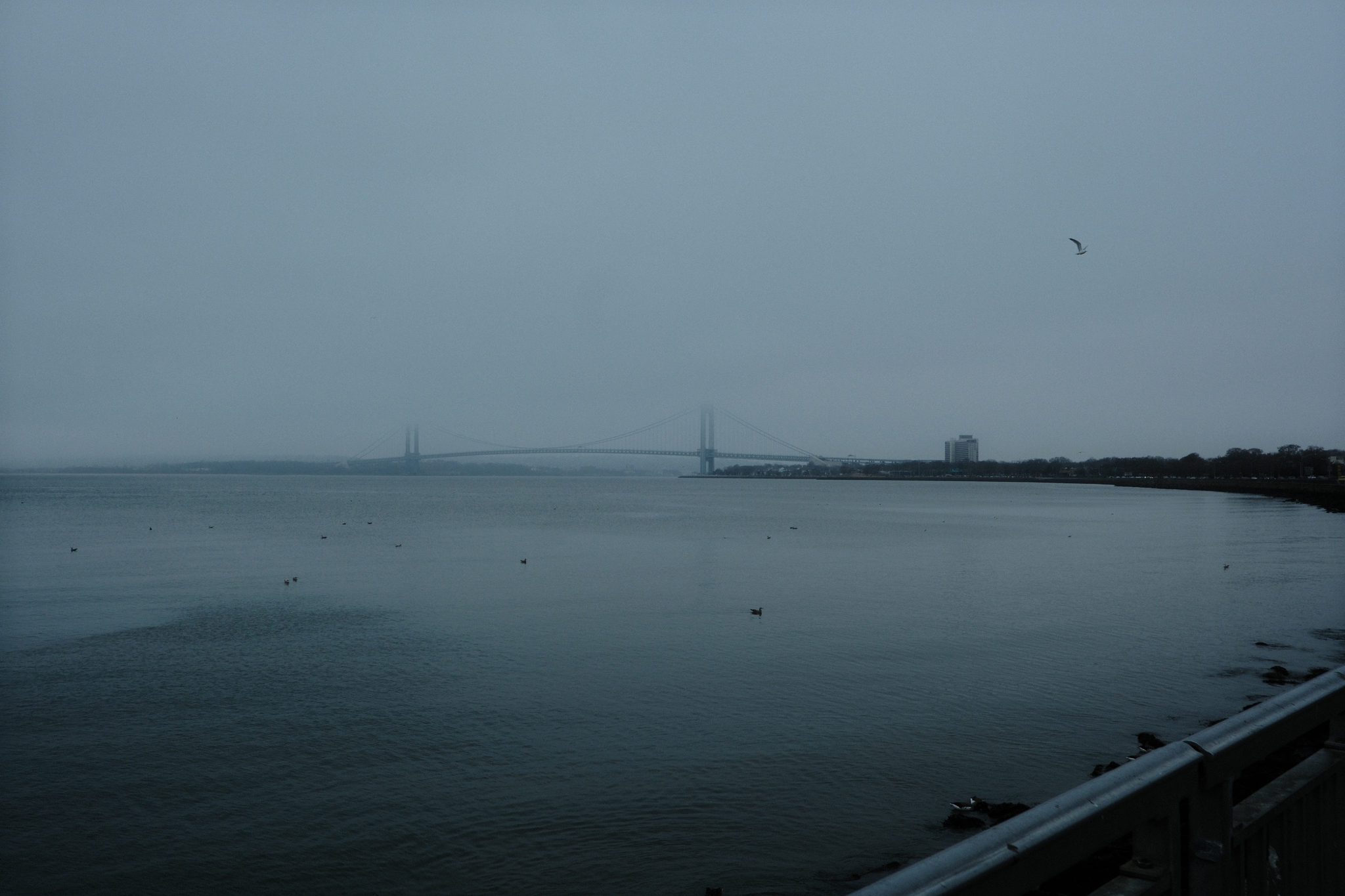 FOG & OCEAN