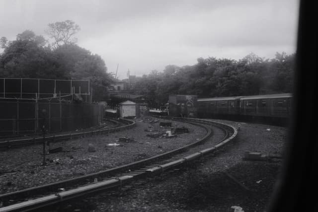 D Train