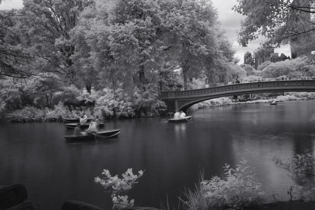 Central Park
