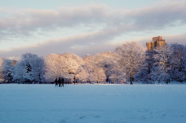 Central Park - Winter
