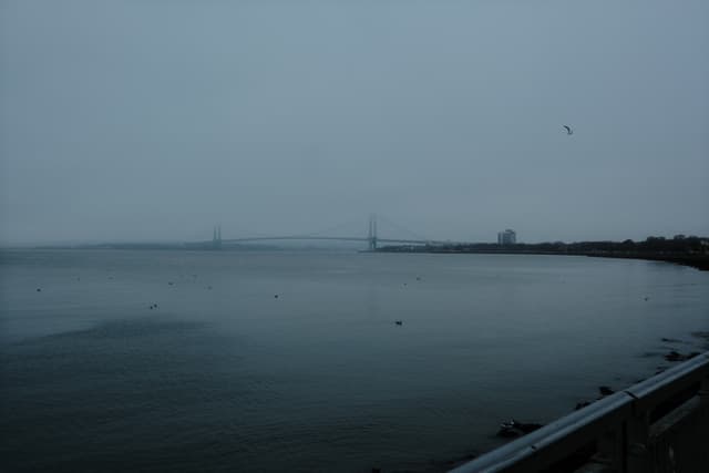 FOG & OCEAN
